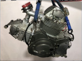 MOTEUR DUCATI 750 MONSTER 1999