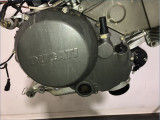 MOTEUR DUCATI 750 MONSTER 1999