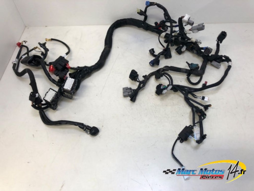 FAISCEAU SUZUKI 800 GSX-8S A2 2023