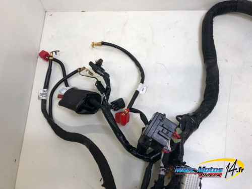 FAISCEAU SUZUKI 800 GSX-8S A2 2023