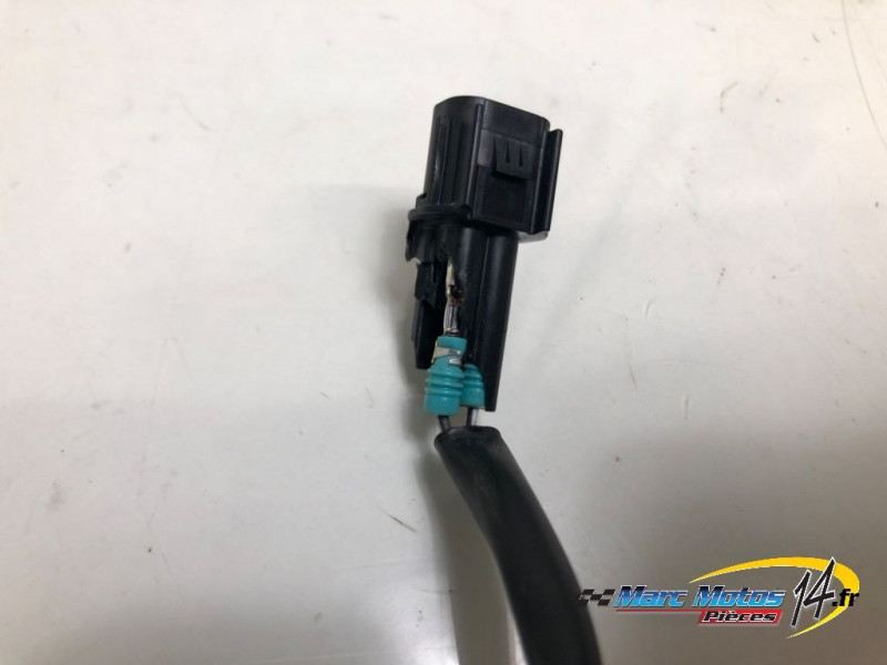 FAISCEAU HONDA 1100 AFRICA TWIN 2021