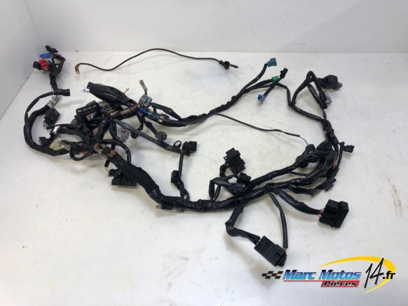 FAISCEAU KAWASAKI 500 NINJA 2025