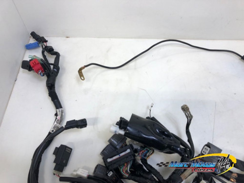 FAISCEAU KAWASAKI 500 NINJA 2025