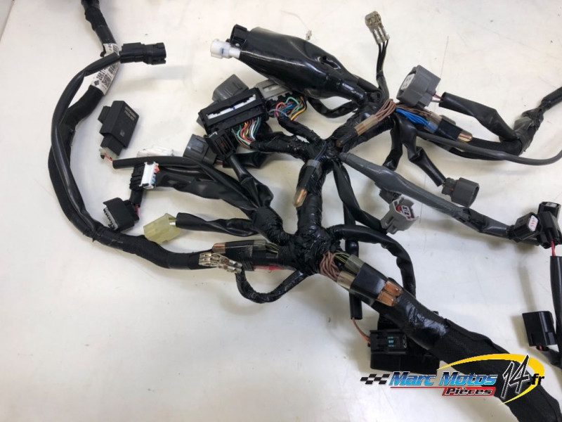 FAISCEAU KAWASAKI 500 NINJA 2025