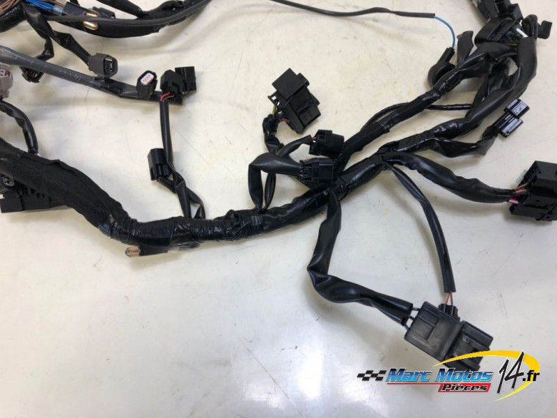 FAISCEAU KAWASAKI 500 NINJA 2025