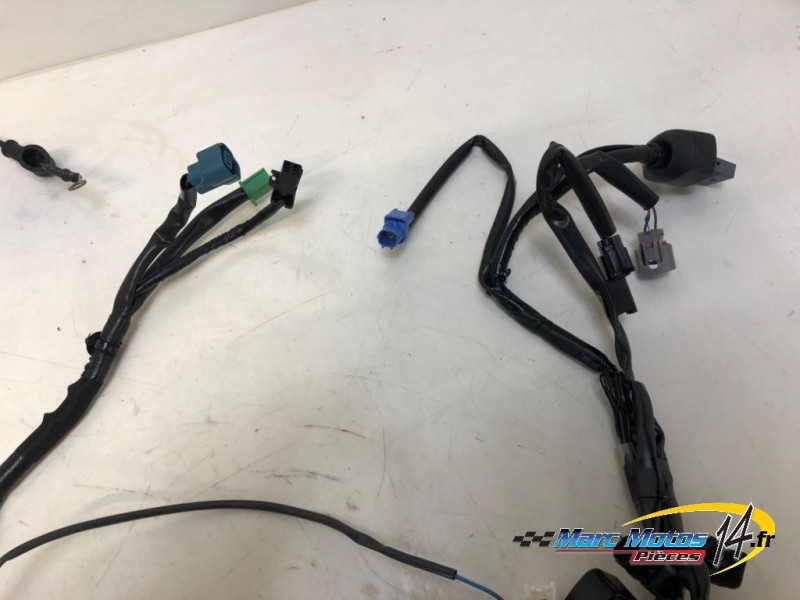 FAISCEAU KAWASAKI 500 NINJA 2025