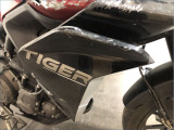 TRIUMPH 900 TIGER GT PRO