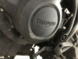 TRIUMPH 800 TIGER 