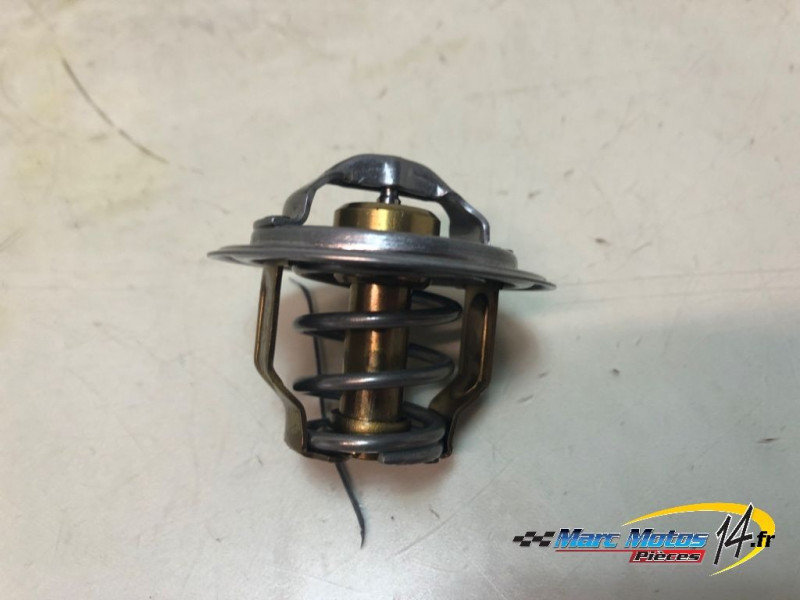 CALORSTAT BMW S1000XR 2021