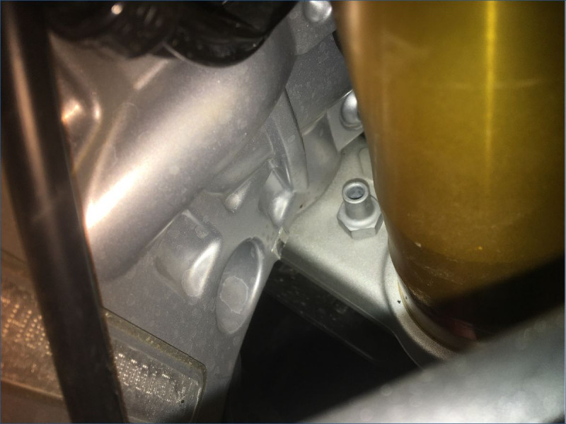 APRILIA 660 RS FACTORY