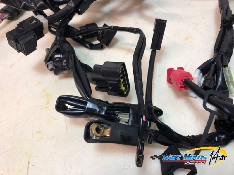 FAISCEAU YAMAHA MT07 TRACER A2 2024