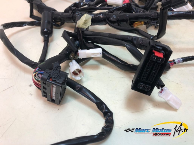 FAISCEAU YAMAHA MT07 TRACER A2 2024