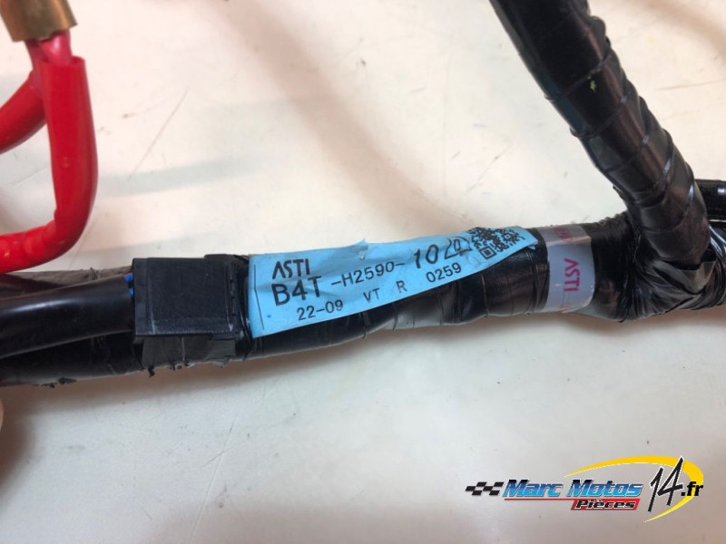 FAISCEAU YAMAHA MT07 TRACER A2 2024