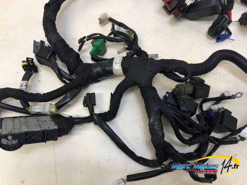 FAISCEAU KTM 125 DUKE ABS 2019