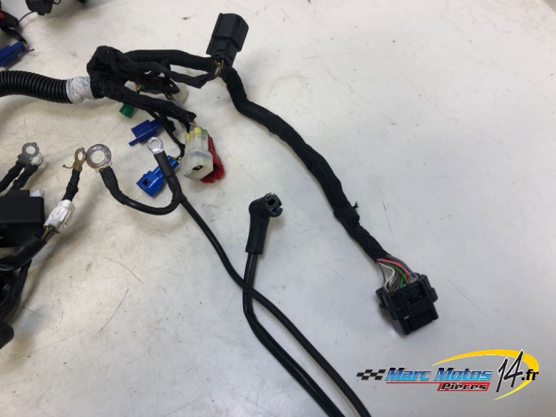 FAISCEAU KTM 125 DUKE ABS 2019