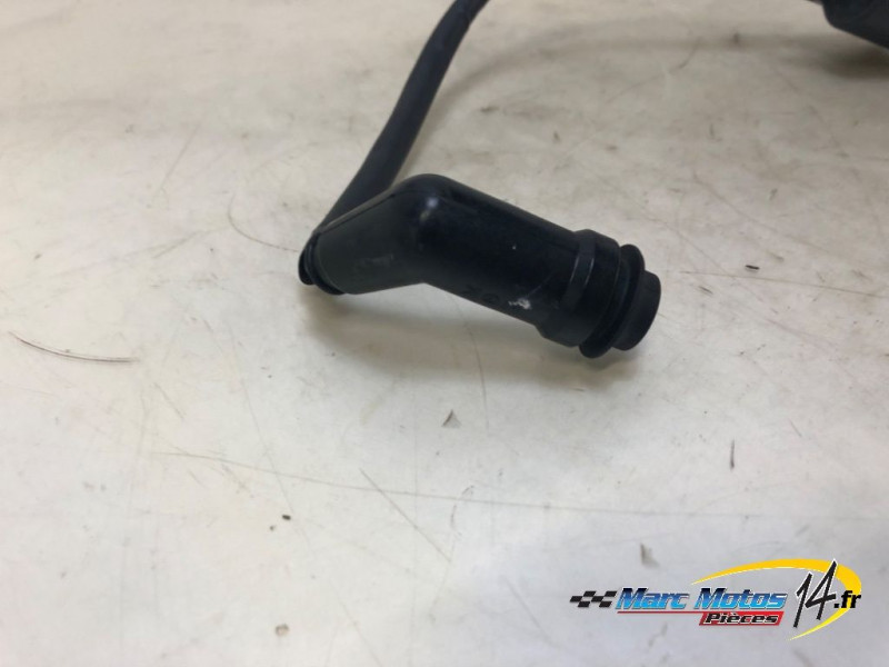 BOBINE D'ALLUMAGE HONDA 1100 AFRICA TWIN DCT 2020