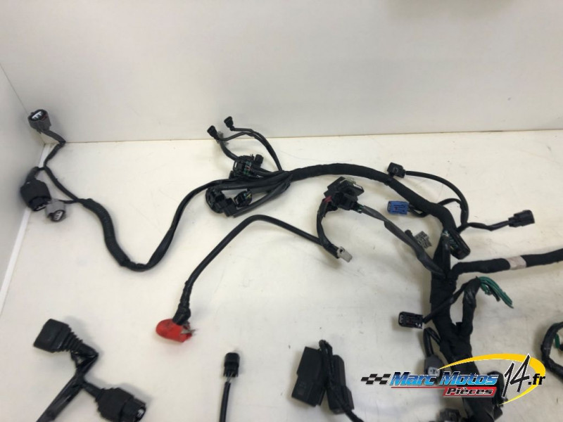 FAISCEAU HONDA 1100 AFRICA TWIN DCT 2020