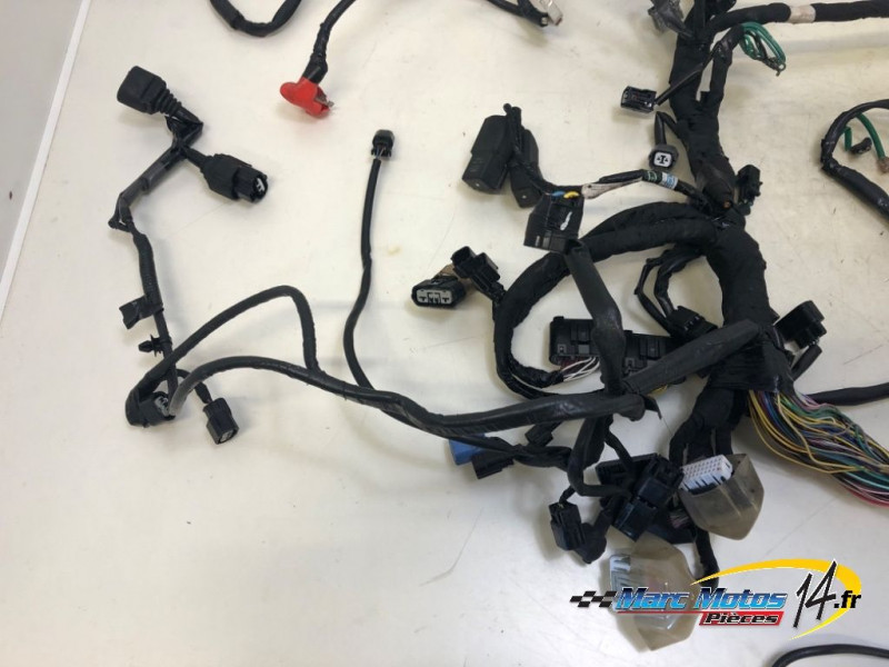 FAISCEAU HONDA 1100 AFRICA TWIN DCT 2020