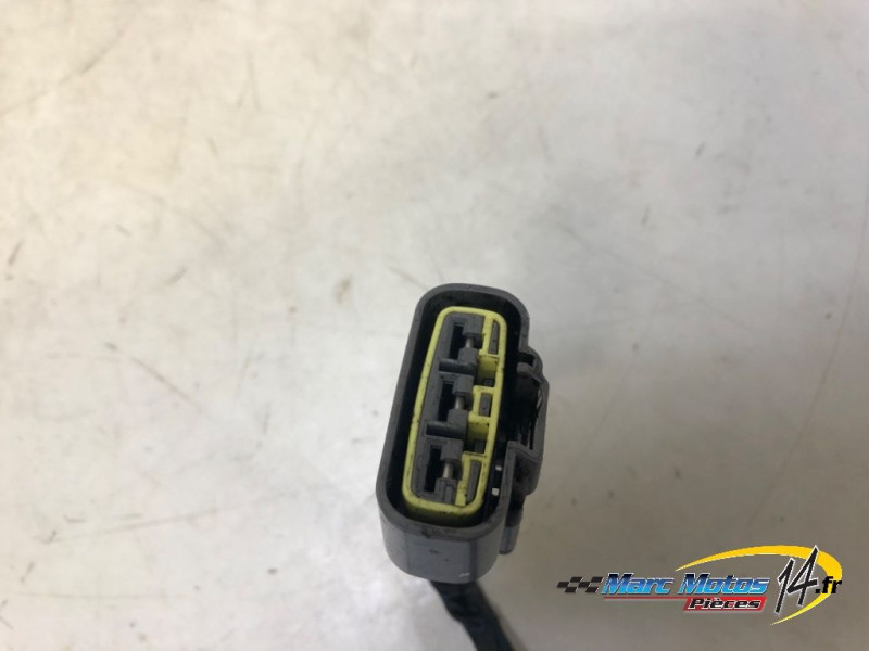 STATOR HONDA 1100 AFRICA TWIN DCT 2020