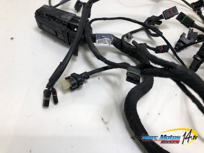 FAISCEAU BMW R1200R 2017