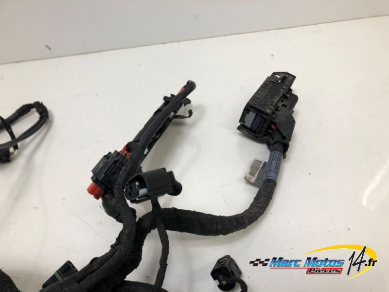 FAISCEAU BMW R1200R 2017