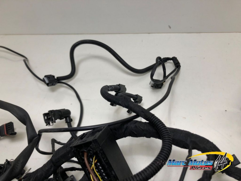 FAISCEAU BMW R1200R 2017