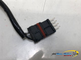 SONDE LAMBDA BMW R1200R 2017