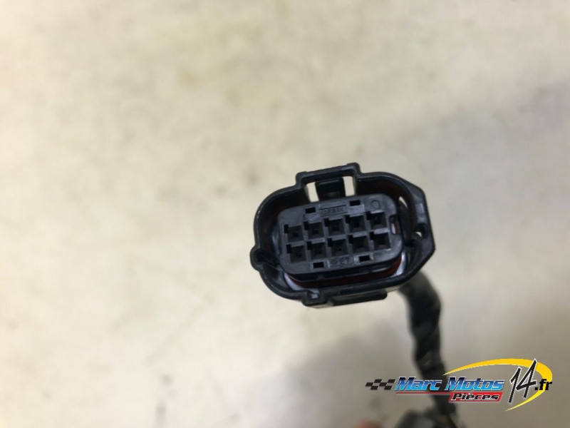 BOITIER ELECTRONIQUE DIVERS TRIUMPH 1200 TIGER EXPLORER 2013