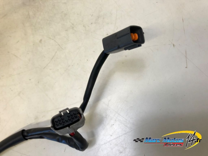 COMMODO GAUCHE TRIUMPH 1200 TIGER EXPLORER 2013