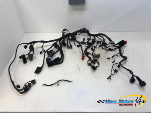 FAISCEAU TRIUMPH 1200 TIGER EXPLORER 2013