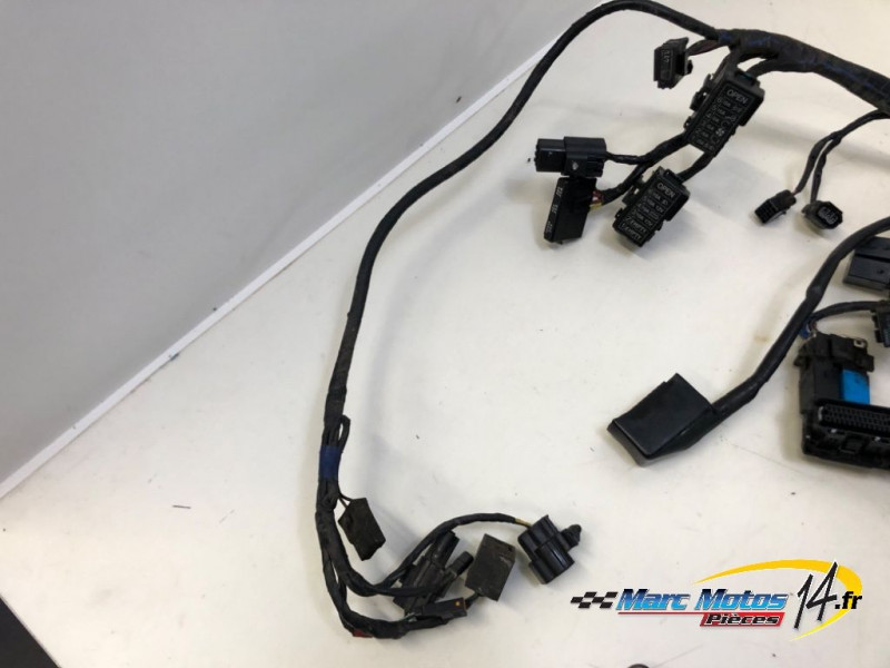 FAISCEAU TRIUMPH 1200 TIGER EXPLORER 2013