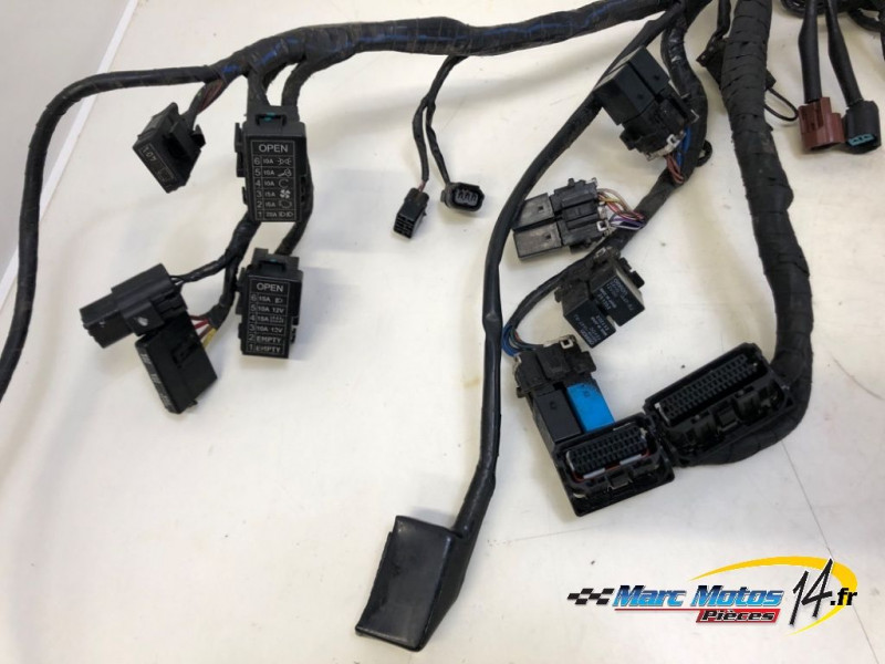 FAISCEAU TRIUMPH 1200 TIGER EXPLORER 2013