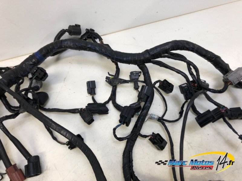 FAISCEAU TRIUMPH 1200 TIGER EXPLORER 2013