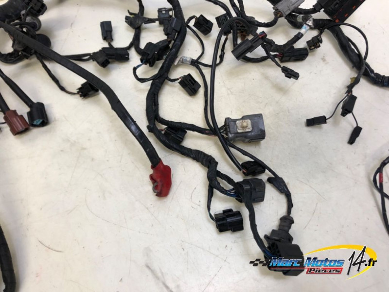 FAISCEAU TRIUMPH 1200 TIGER EXPLORER 2013