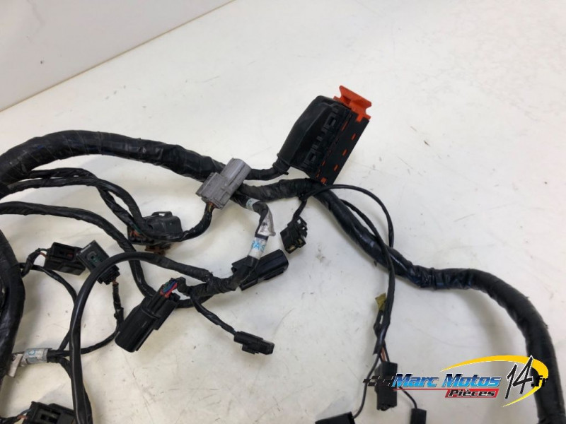 FAISCEAU TRIUMPH 1200 TIGER EXPLORER 2013