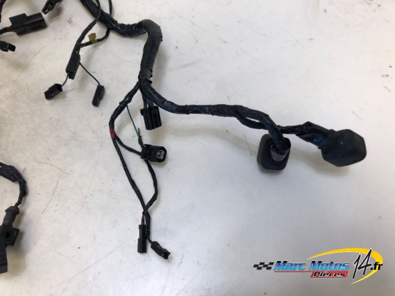 FAISCEAU TRIUMPH 1200 TIGER EXPLORER 2013