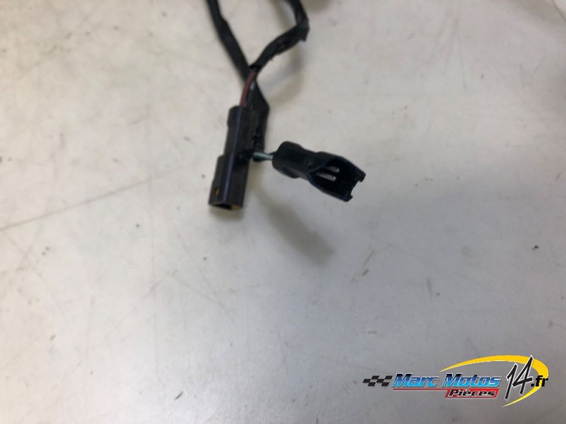 FAISCEAU TRIUMPH 1200 TIGER EXPLORER 2013