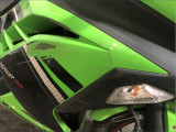 KAWASAKI 300 NINJA 