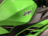 KAWASAKI 300 NINJA 