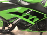 KAWASAKI 300 NINJA 