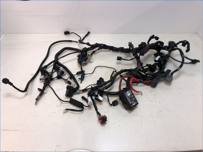 FAISCEAU YAMAHA MT09 SP 2021