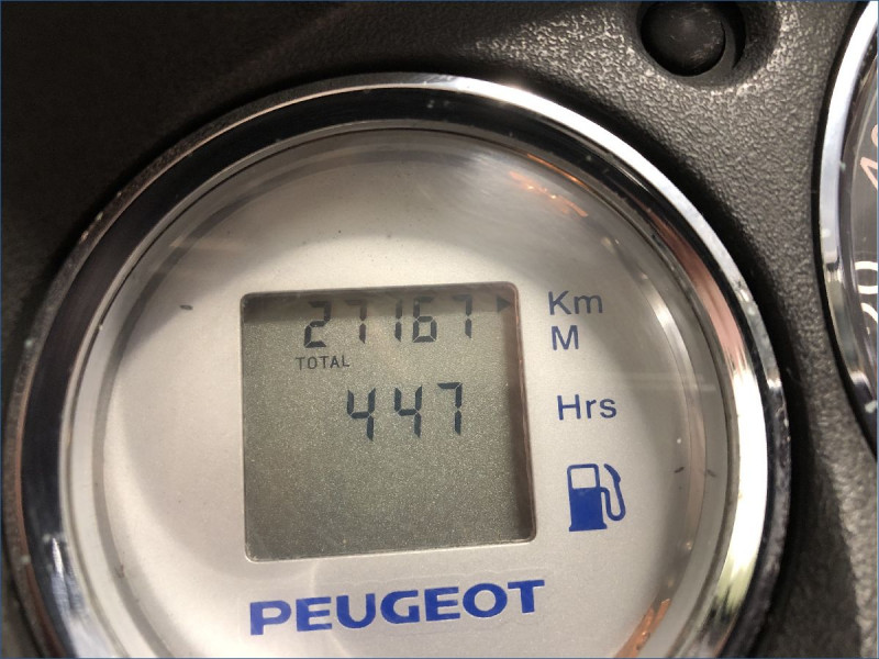 PEUGEOT 250 GEOPOLIS 