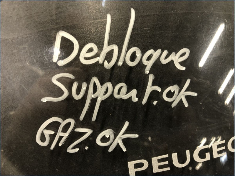 PEUGEOT 250 GEOPOLIS 