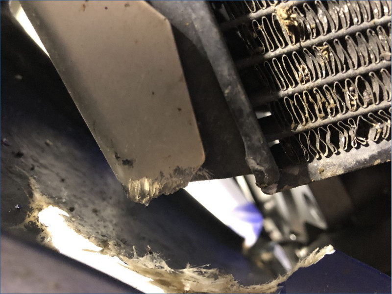 SUZUKI 650 SV S 34CV