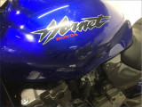 HONDA 600 HORNET 