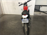 DUCATI 800 SCRAMBLER DESERT SLED