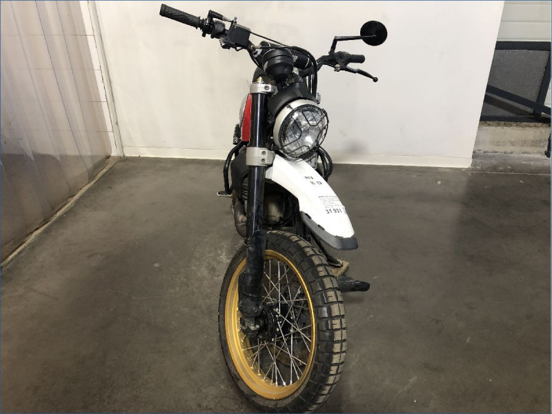 DUCATI 800 SCRAMBLER DESERT SLED
