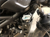 SUZUKI 650 SV A2