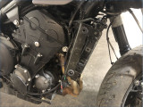 TRIUMPH 800 TIGER SPORT