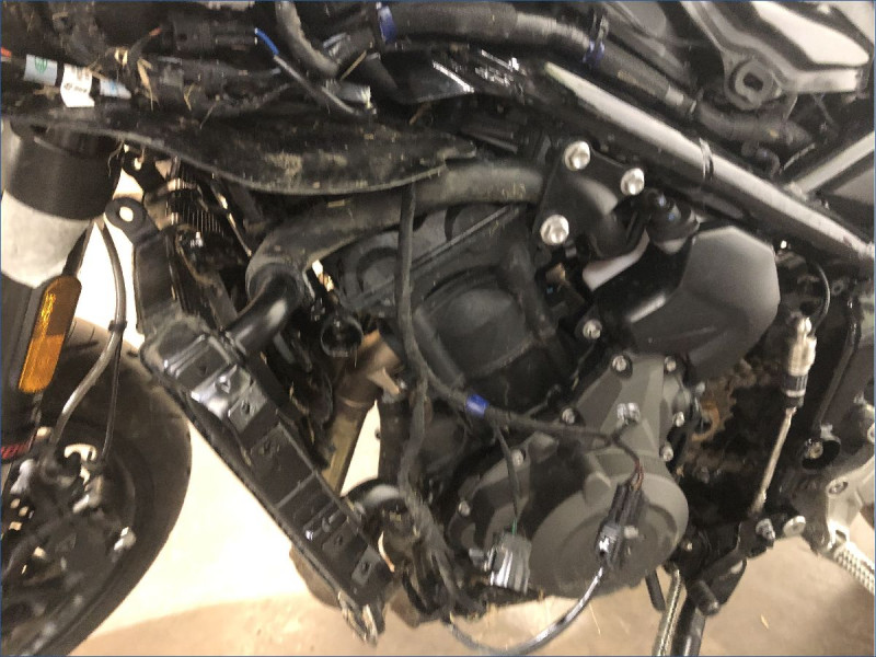 TRIUMPH 800 TIGER SPORT